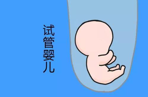 关于代妈应聘公司